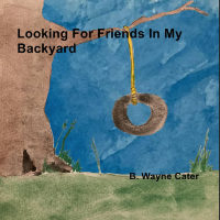Looking for Friends In My Backyard alt ><