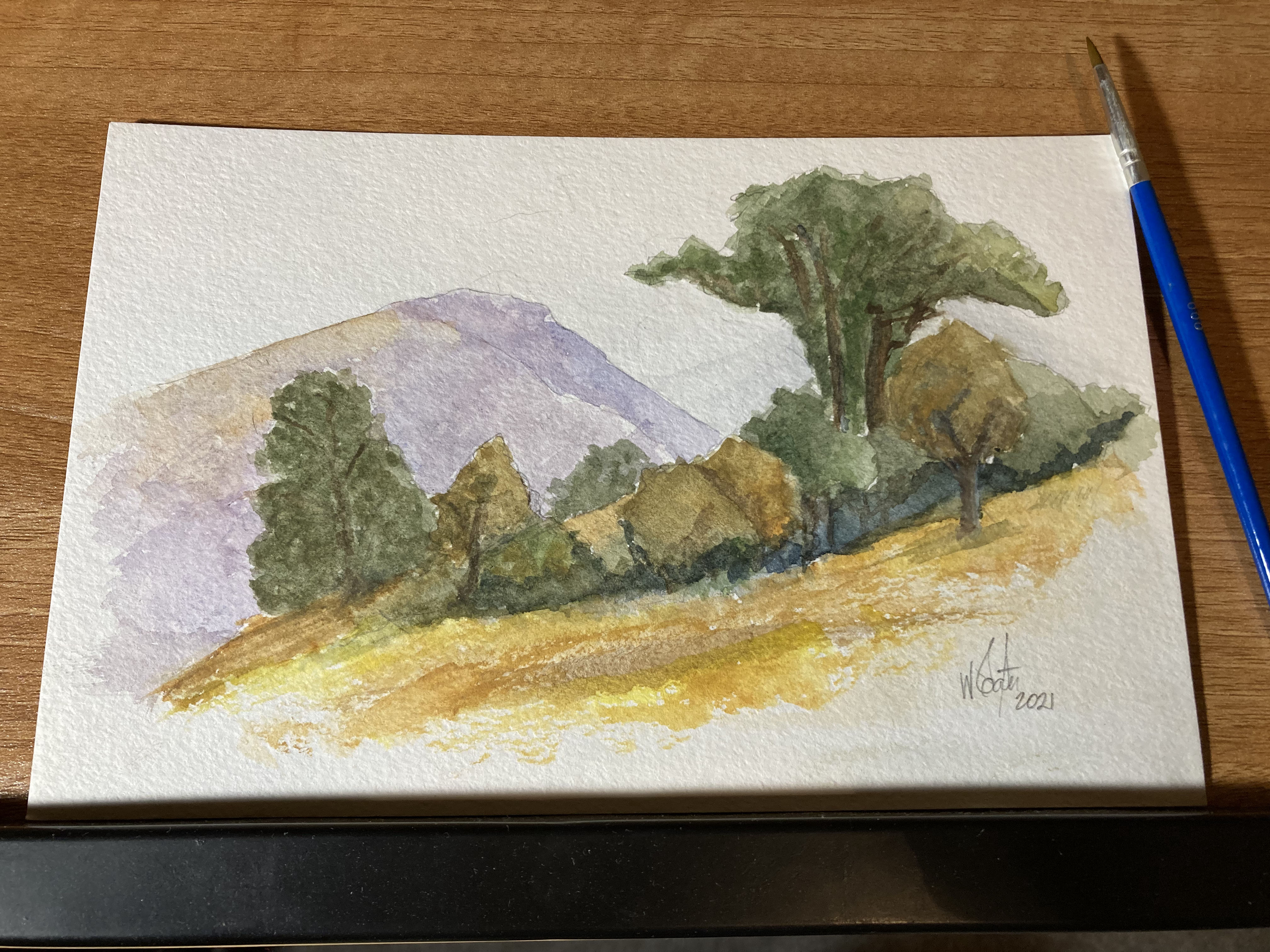 mountainandtreeswatercolor alt >